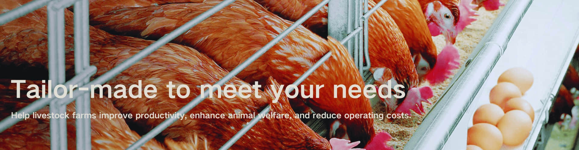 Hebei YMD Animal Husbandry Equipment Co., Ltd