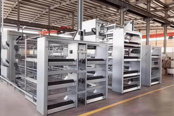 Nose and Tail of the Aircraft