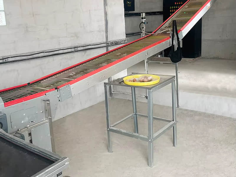 Automatic Feeding System