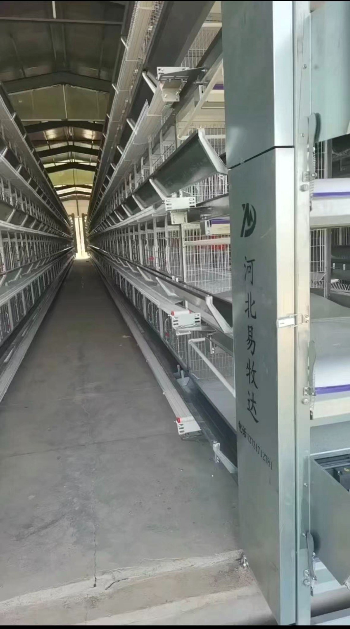 Benefits of Automatic Feeding System for Poultry Farms