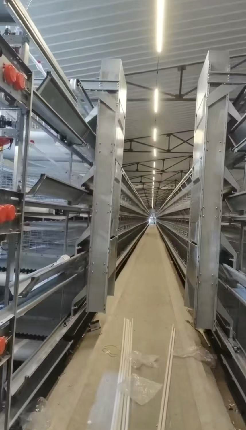 YIMUDA automatic feeding system YIMUDA automatic feeding system