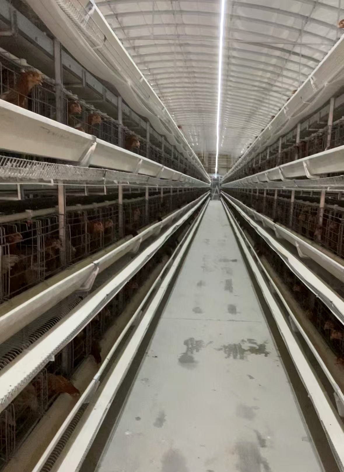 YIMUDA automatic feeding system YIMUDA automatic feeding system