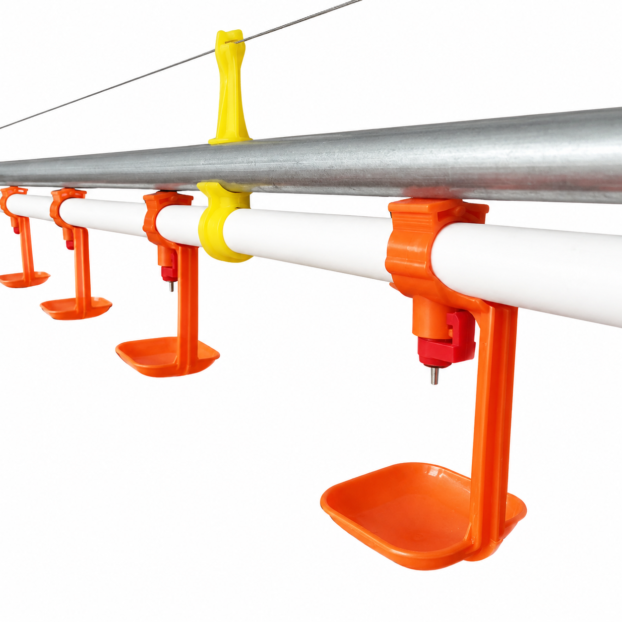 Why a Reliable Nipple Drinking System Matters in Modern Poultry Farming