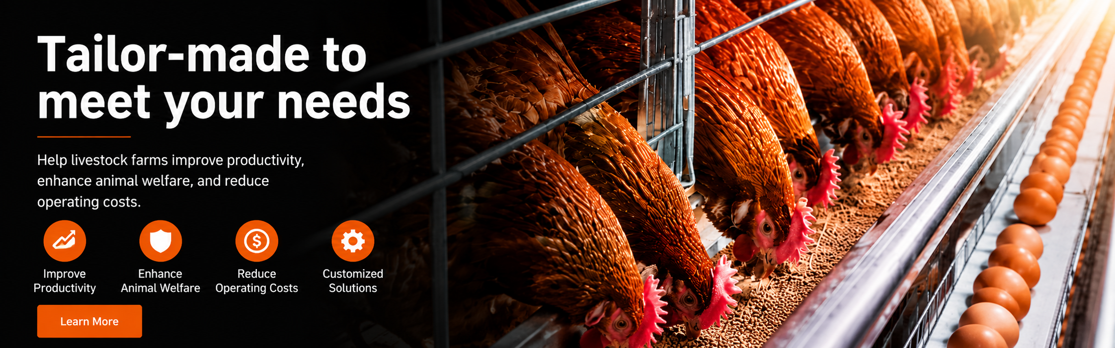 Poultry Farming Equipment Manufacturer in China | YIMUDA