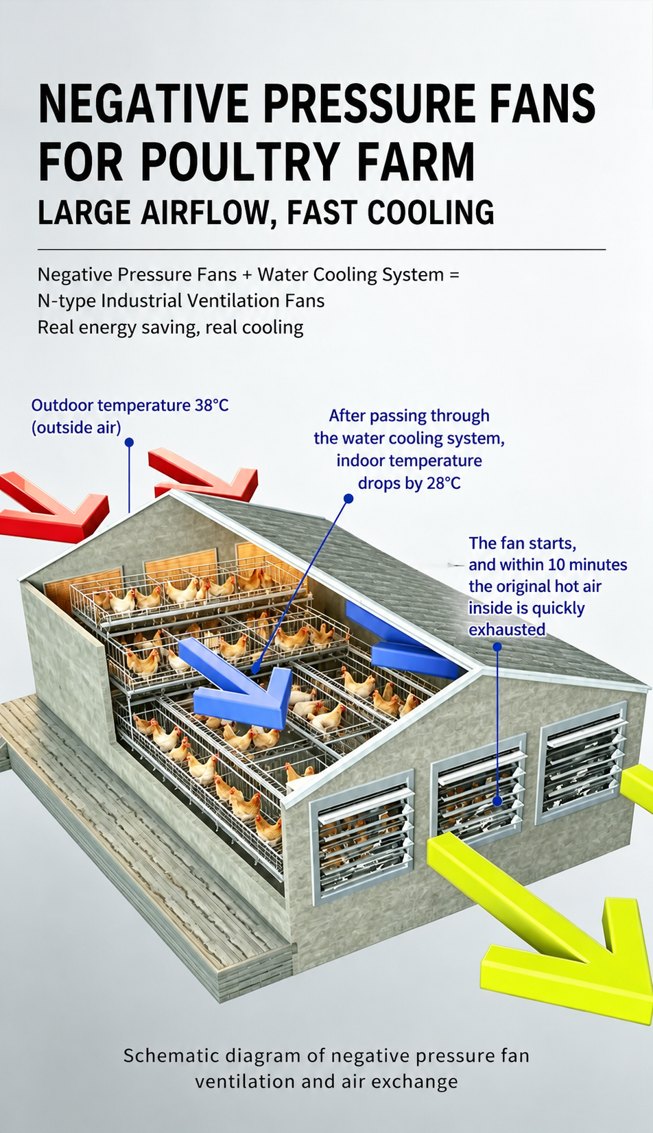 Why Ventilation System Design Matters in Poultry Farm Projects