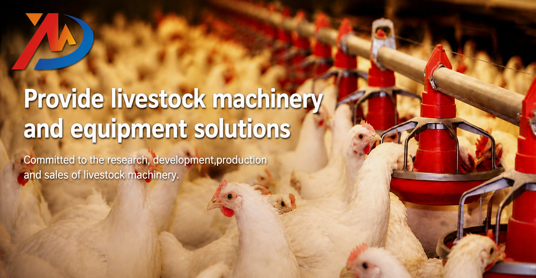 How to Choose the Right Layer Chicken Cage for Your Poultry Farm