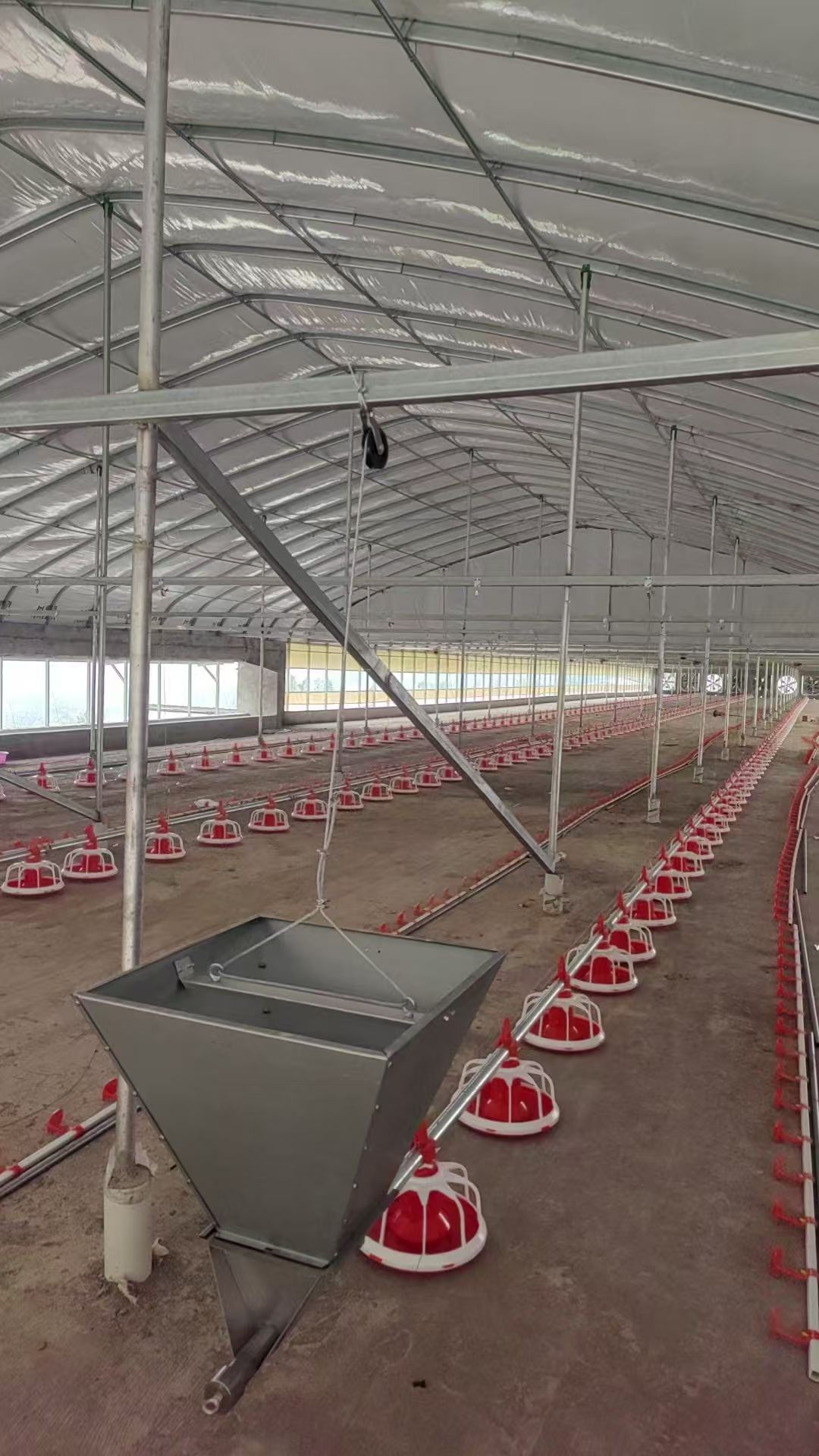 Why Do the Last Feed Pans on a Broiler Line Receive Less Feed